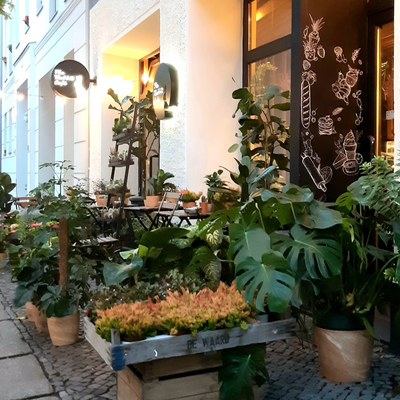 The Rabbit Café